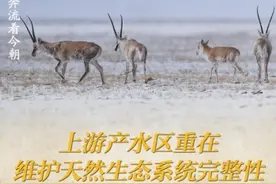 创意海报｜大河奔流看今朝图片