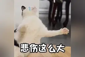 过于真实！大学生体测是什么“人间疾苦”？图片
