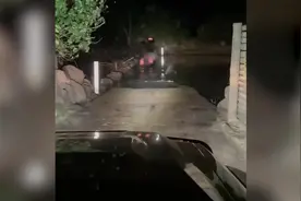 澳大利亚男子半夜驾车通过涉水公路 竟有6只鳄鱼挡在路上图片