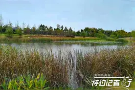 特约记者行：在这里休闲漫步 神清又气爽图片