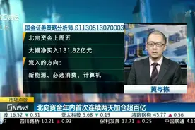 北上资金超百亿流入、宁德时代与储能……|市场点金视频封面