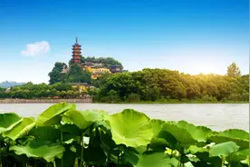 一年一度！这场国际医药盛会在泰州盛大启幕！图片