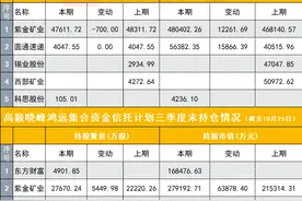 高毅资产最新持仓曝光！邱国鹭捕获暴涨股，冯柳坚守海康威视，邓晓峰抄底科思股份图片