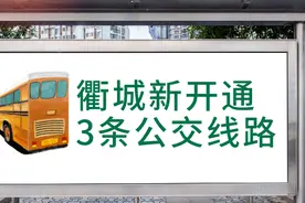 终点：四省边际中心医院！明起，衢城新开通3条公交线路图片