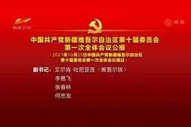 新一届新疆维吾尔自治区党委领导班子亮相图片