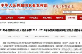 2021年中国美丽休闲乡村公示，山东10村上榜，有你家乡吗图片