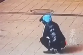 男子像小野猫示好下一秒却突然恐怖变脸 小猫被多次摔打致死图片