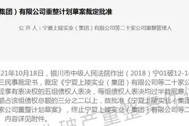 大股东破产重整草案出炉，上陵牧业违规担保危机以计提坏账告终图片