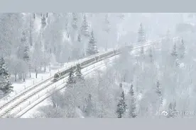 期待！全国首条山地轨道来了图片
