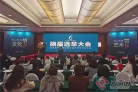 云南省整形美容协会医学美学文饰分会换届选举大会召开 将规范行业标准图片