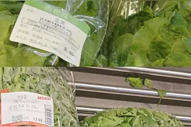蔬菜大涨价！主妇哀叹“葱都来凑热闹”，菜农诉苦：苗都长不齐图片
