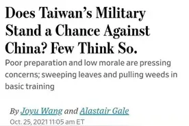 “草莓军”对战解放军？所有人都笑了……图片