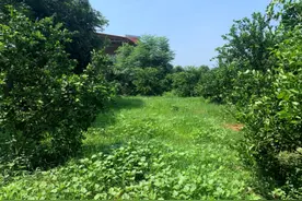 既要找矿成果又要环境成果图片
