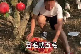 四川凉山整治“卖惨带货、悲情营销”：有损地方农特产品牌，23个自媒体账号被处理图片