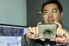 中国发现世界最古老肋鳞裂齿鱼！距今2.44亿年为亚洲首现图片