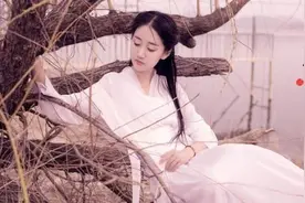 潘金莲回忆录：我那荒唐的一生图片