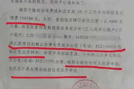评论丨居民申请信息公开需交15万，谁在制造“玻璃门”图片