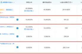 华为投完小米投，OLED驱动芯片有什么魔力？图片