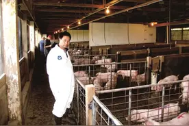 「农科苑」养猪技术研究团队图片