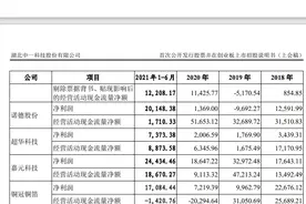 IPO观察｜创始人去世24岁“太子”休学接班 铜箔景气下中一科技能走多远？图片