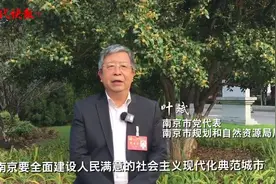 聚焦南京党代会 | 市规划资源局局长叶斌：老城“牵手”紫金山，南京打造古都文化核心展示区图片