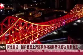河北廊坊：国内首座上跨高铁钢桁粱桥转体成功  顺利合龙视频封面