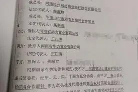 平顶山4家银行贷款抵押物被法院判给他人 7500万元贷款多年难追回图片
