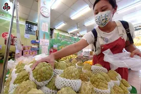 台湾水果销陆总量降至五成！民进党颇以为傲？图片