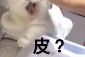 注意了！福清这个路段新增“移动违停球”，全天候自动判定违停......图片