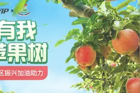 公益活动这样玩：购买视频联名会员“延安有我一棵苹果树”图片