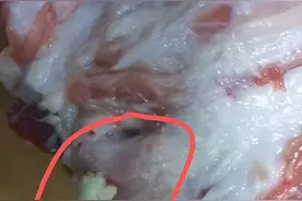 辽阳市民在市场买到冒“脓”猪肉，能吃吗？图片