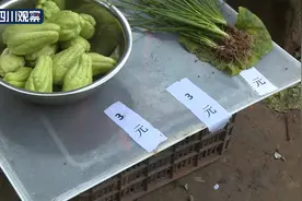 六旬老人摆无人菜摊半年 从未少收一分钱图片