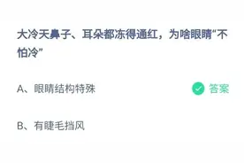 大冷天鼻子耳朵都冻得通红为啥眼睛不怕冷？蚂蚁庄园10月28日今日答案图片