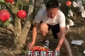 几毛钱一斤没人要？这些卖惨带货、悲情营销账号被封号图片