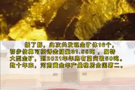 红色桐柏为何又成“聚宝盆”？图片