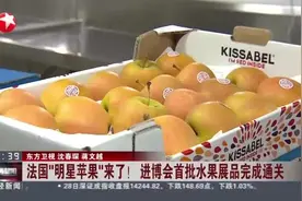法国“明星苹果”来了！  进博会首批水果展品完成通关视频封面