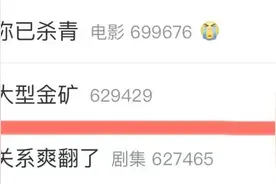 河南发现特大型金矿！记者揭秘真实淘金现场→图片