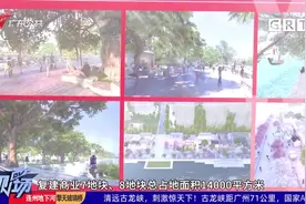 广州黄埔：沙步旧改项目再迎2地块复建 打造岭南水乡特色地标视频封面