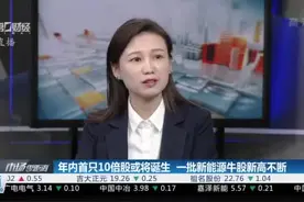 年内首只10倍股或将诞生 一批新能源牛股新高不断视频封面