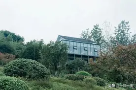 小坐院子：300㎡的林中咖啡馆，藏在山城重庆的“无人之境”图片