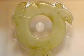 王者玩具-昆虫“蜕变”和“羽化”图片