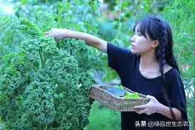 李子柒全网好评的古法牛肉酱，增香秘诀是......图片