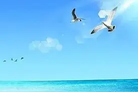 一段永远难忘的回忆图片