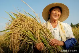 “收秋不收秋，就看五月二十六”啥意思？定秋为啥看五月二十六？图片