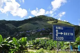 解析：布朗山8大村寨普洱茶特点，布朗山普洱茶知识大全图片