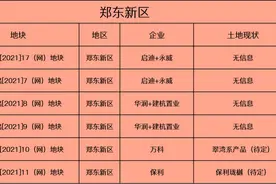 第一次集中土拍之后，各项目进展如何？图片