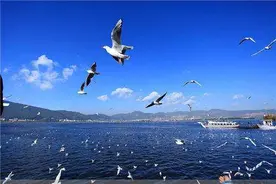 自驾乐逍遥之广东出发路线设计（一）图片