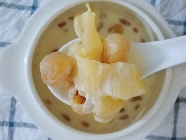 花胶炖牛奶可以隔夜吗 2026年花胶炖牛奶能隔夜吗