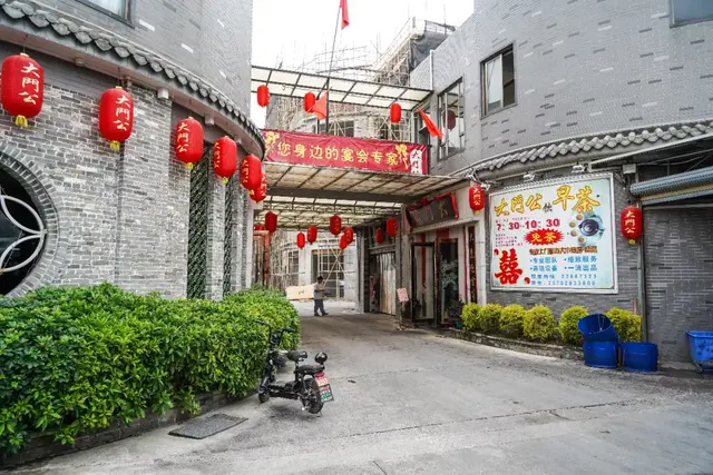鳄鱼肉和花胶和海参 2026年鳄鱼肉和花胶和海参哪个好