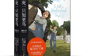 给10岁+孩子的图像小说书单：一个月读完12本名著图片